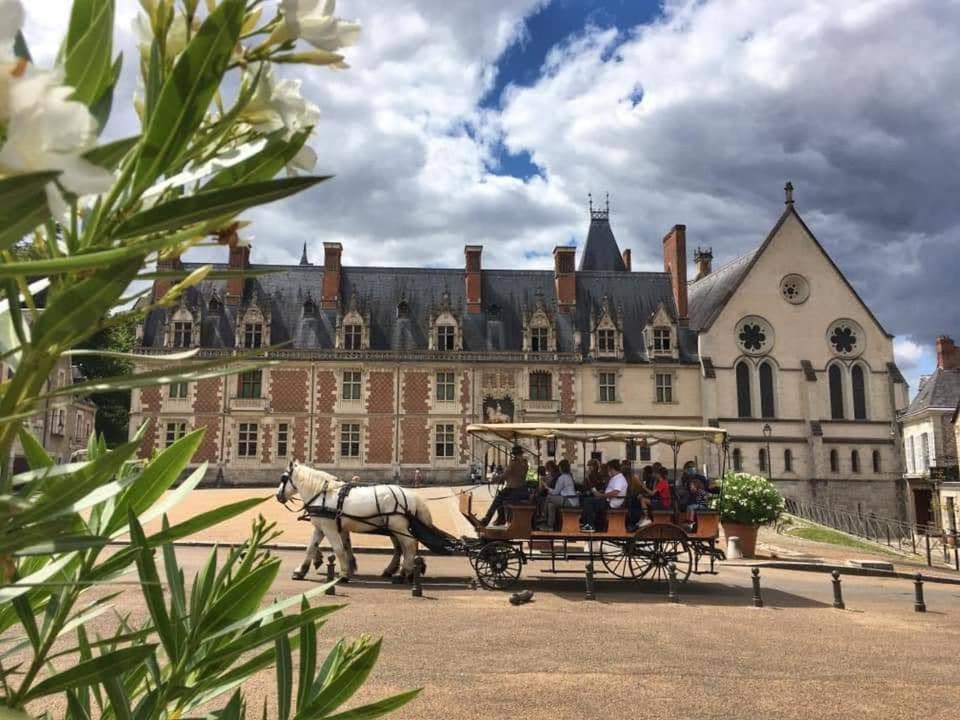 Blois City - Le Petit Saint Jean Exterior photo